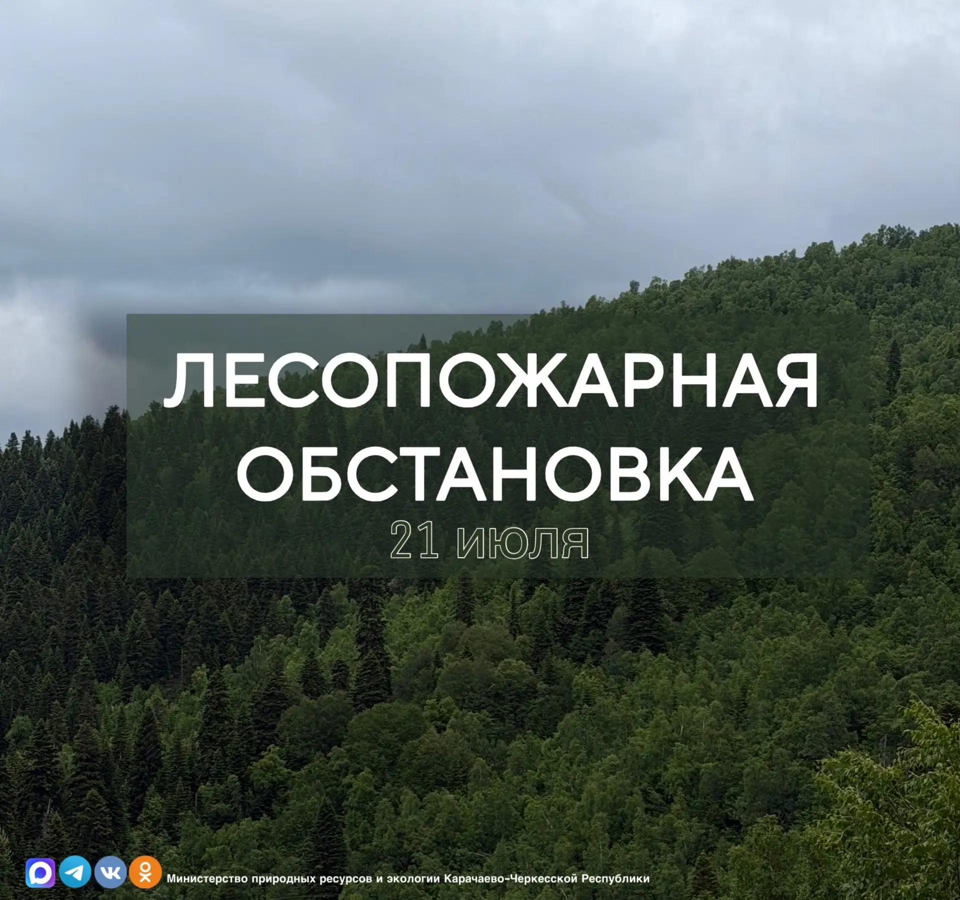 ✅По состоянию на 21 июля 2026 года, на территории всех пяти лесничеств Карачаево-Черкесской Республи