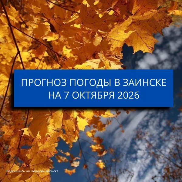 В Заинске 7 октября ожидается дождь и порывы ветра до 17 м/с