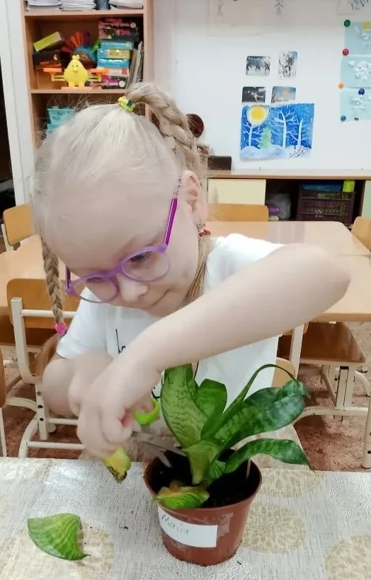В старшей группе детского сада под руководством педагога первой квалификационной категории Гальцевой
