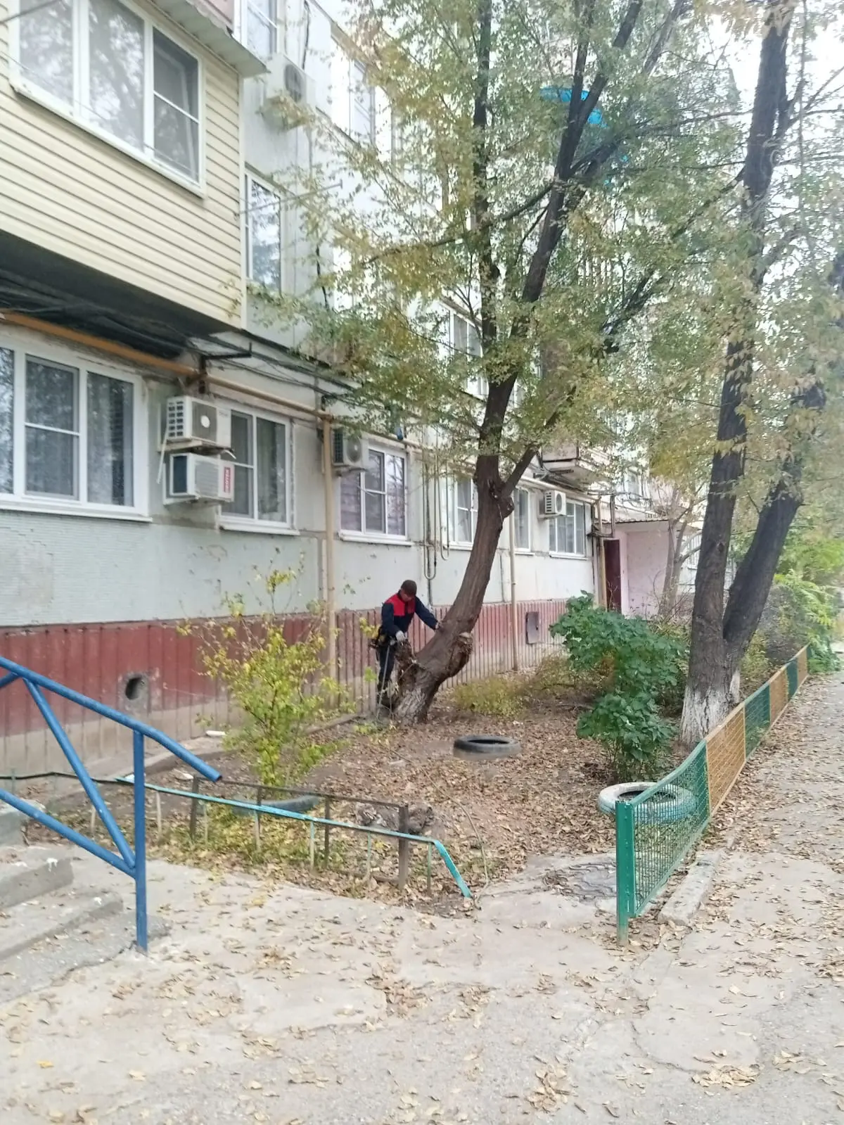 🌳 Работы на придомовой территории  Команда УК «АЖС» провела опиловку деревьев на придомовой территор