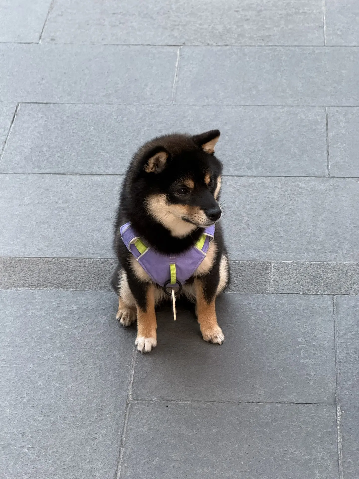 Удивительный Китай! 🇨🇳✨ Каждый день много гуляем и наматываем минимум 10 тыс. шагов))  Кстати, по ср