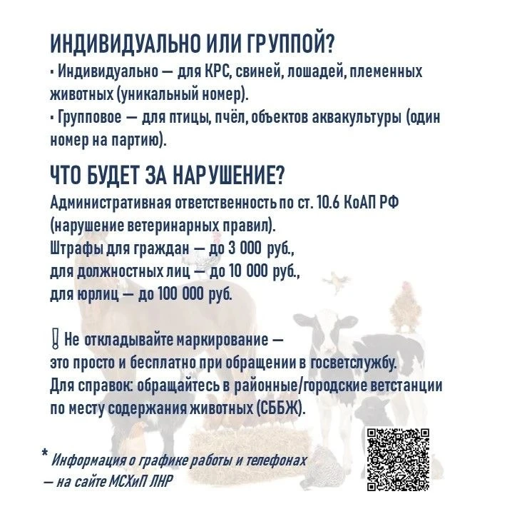 С 1 сентября 2026 года в полную силу вступили требования Федерального закона № 221-ФЗ, ...