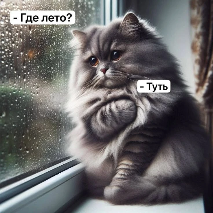 🌹Открытки для любимых