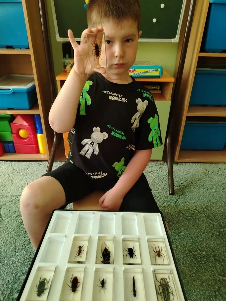 ☀🐝🐛Сегодня ребята группы "Подсолнушки" с восторгом познакомились с коллекцией насекомых, разглядыв