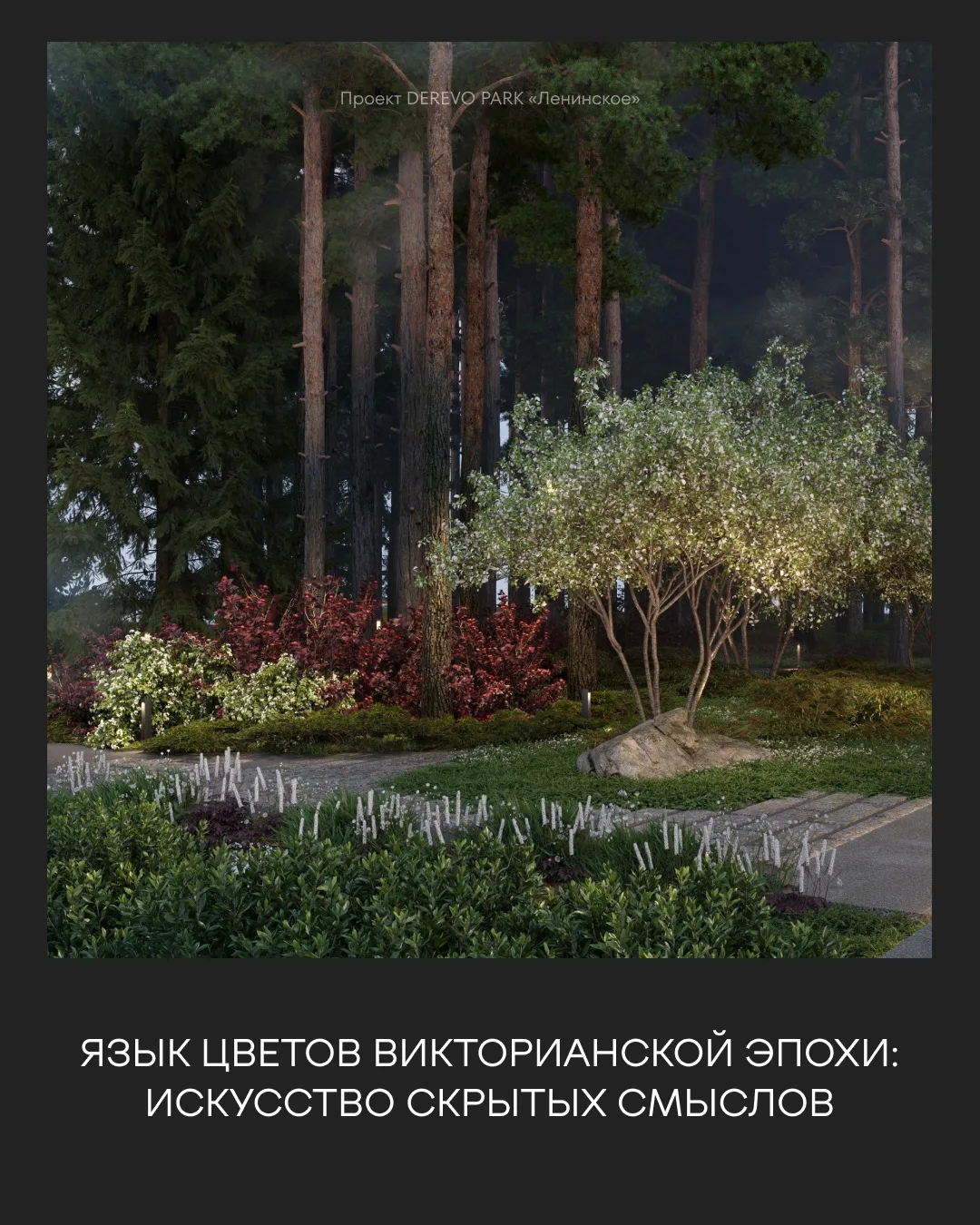 В Викторианскую эпоху существовала флориография – секретный язык, где растения становились зашифрова