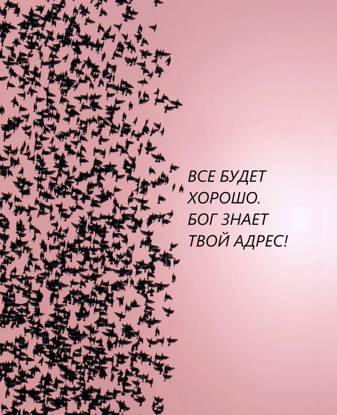 Цитаты жизни
