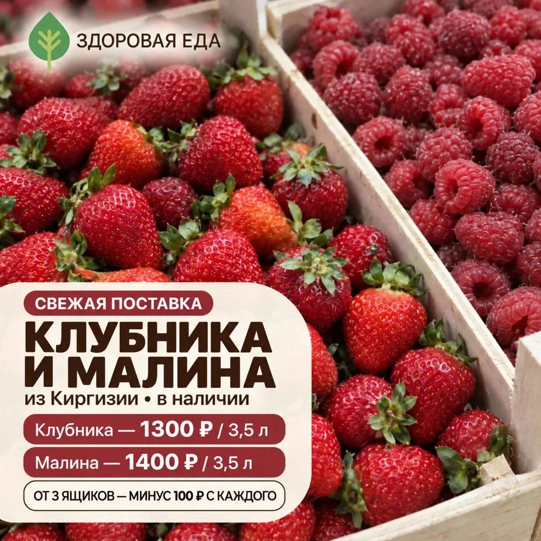 ✅ В наличии в магазине: