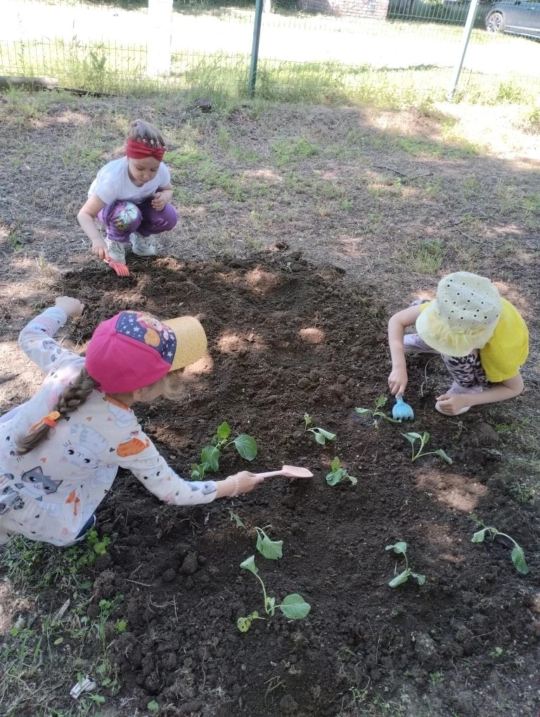 Сегодня ребята группы "Ягодка" сажали огород.🏡 Посадили кабачки и капусту,🥬 полили ег...