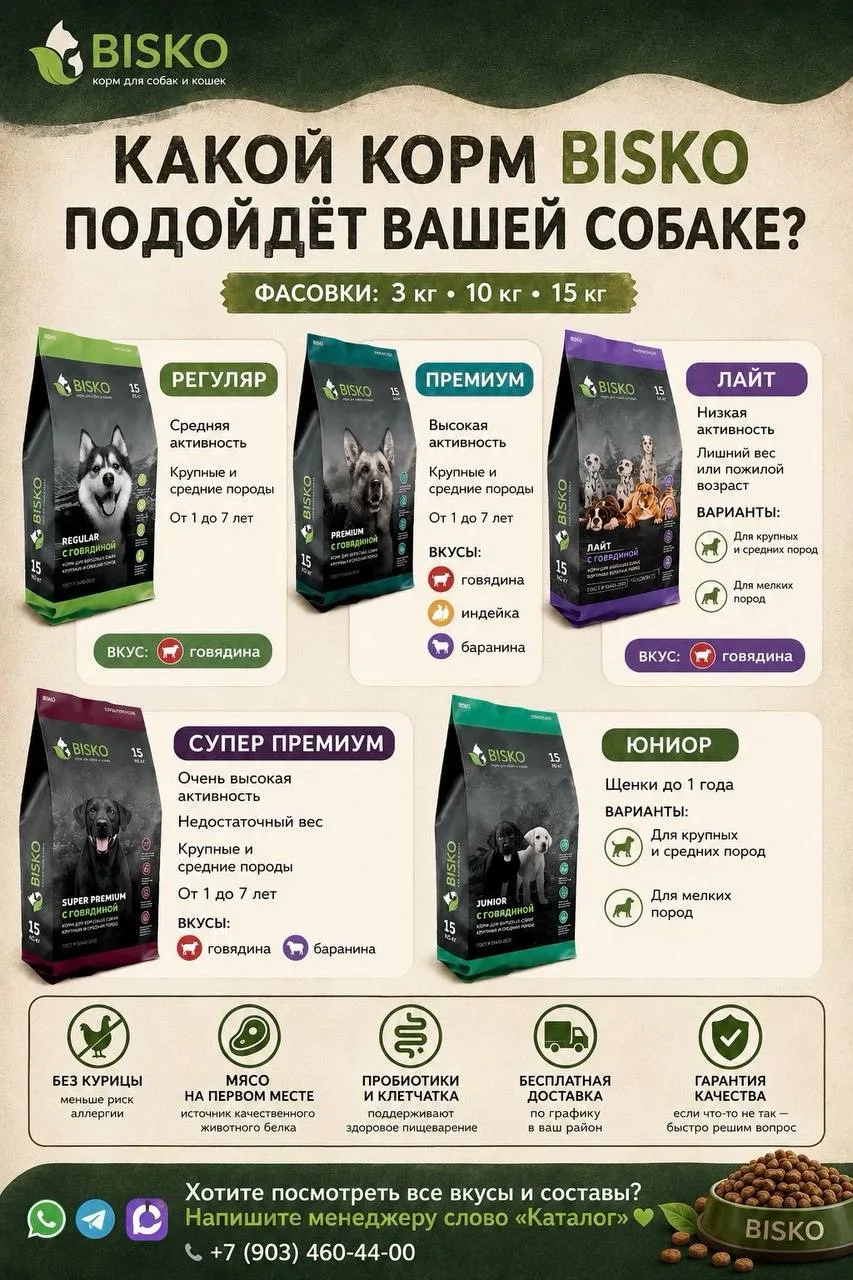 Изображение 2 к публикации «ЛЕВЕНЦОВКА | СОСЕДИ | ГЛАВНЫЙ»