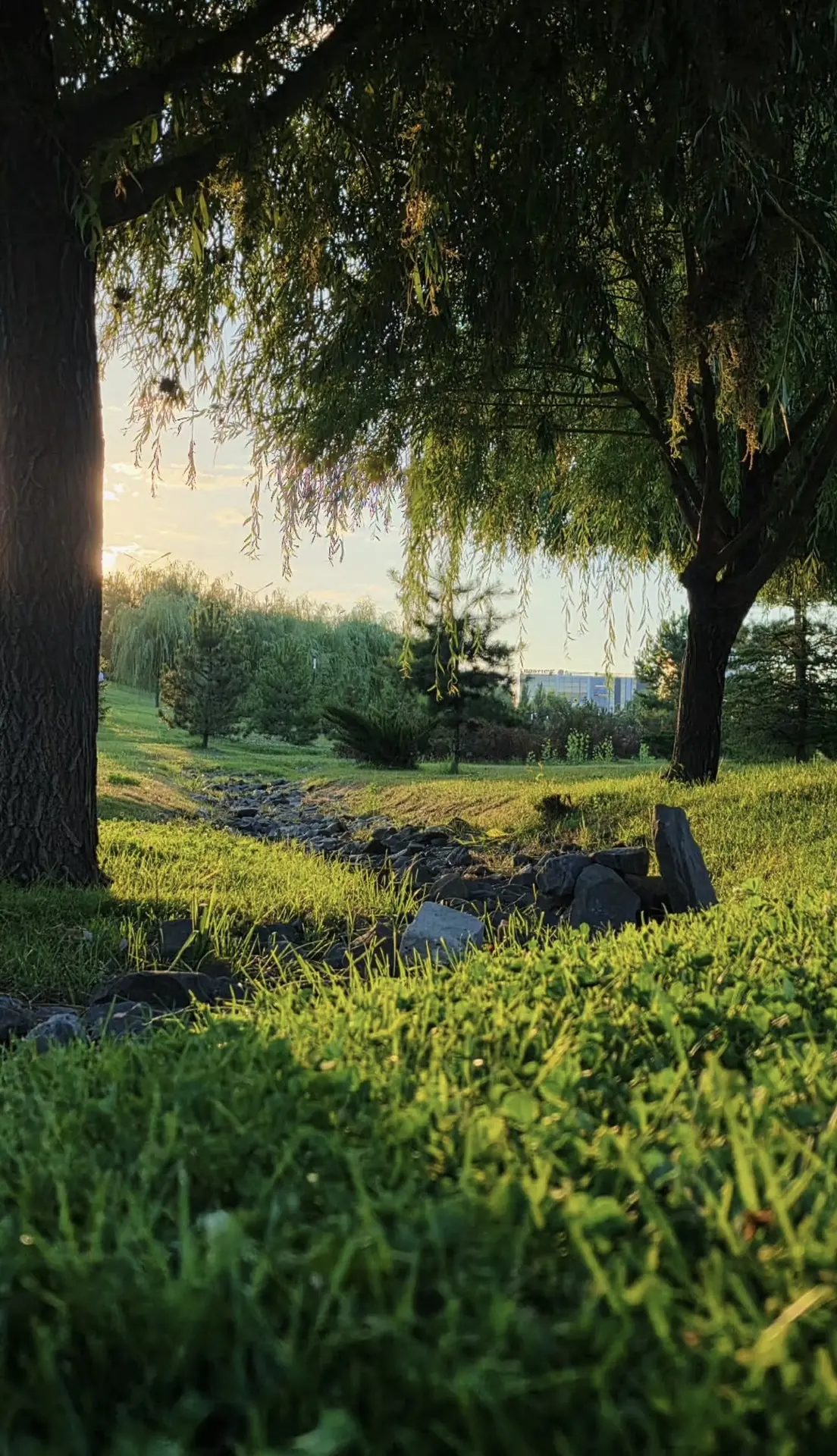 Доброе утро ☀️