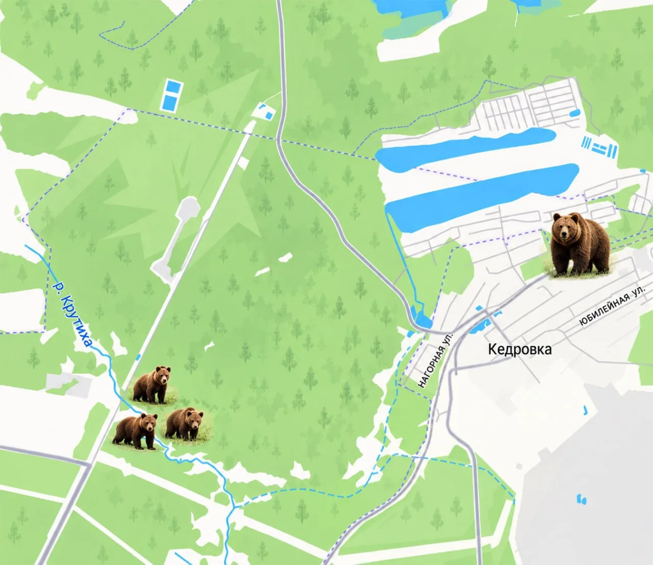 🐻Под Екатеринбургом к поселкам вышли медведи - жителей предупреждают об опасности.