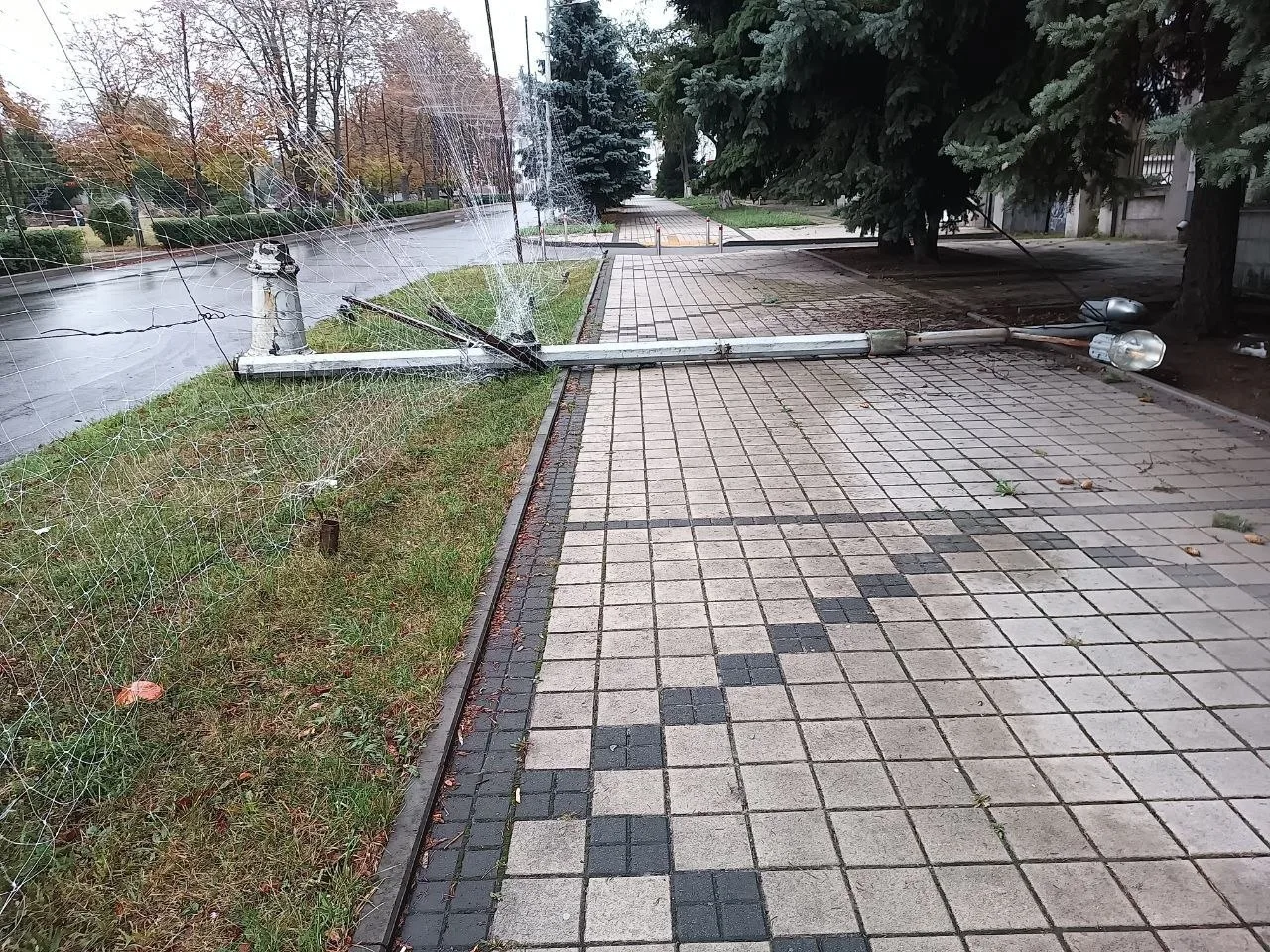 Уже несколько дней валяется.