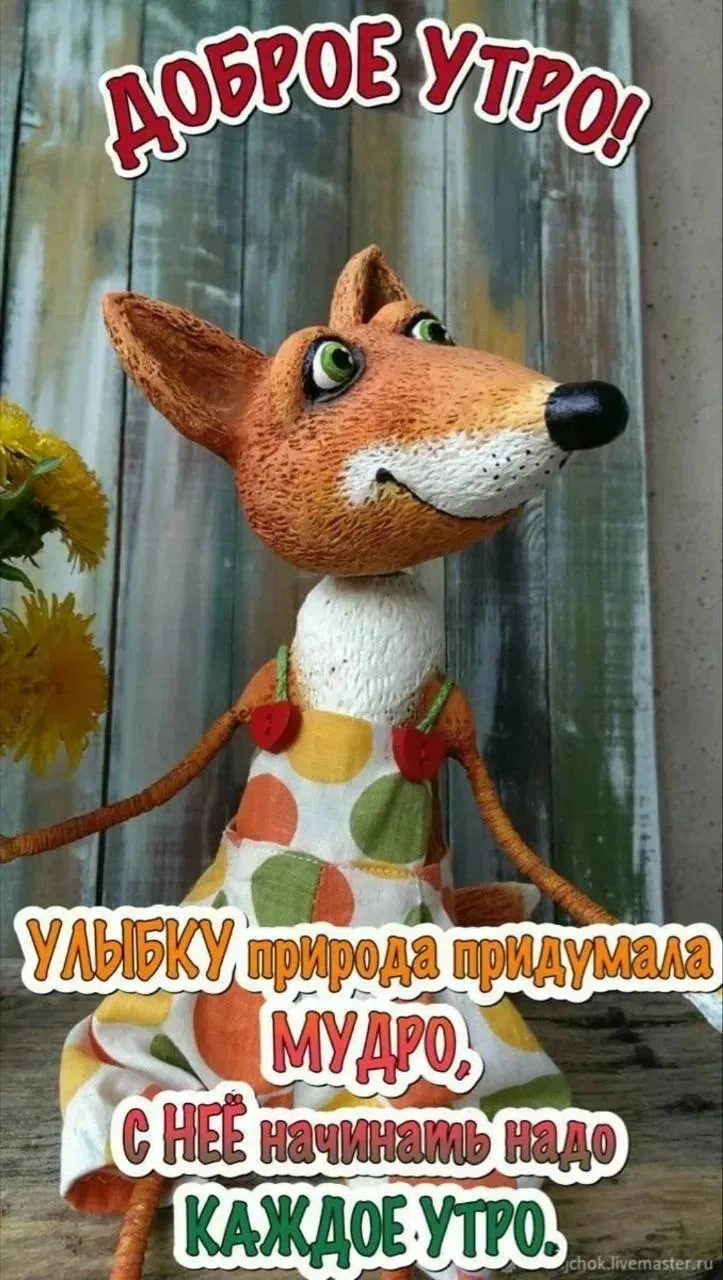 Улыбка — это маленькое чудо, с которого начинается наш день! 😊

Наши мудрые предки говорили, что ут
