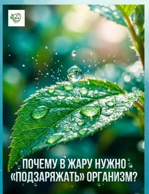 Почему в жару нужно «подзаряжать» организм? 💧☀️

☀️Когда на улице солнце греет по-настоящему сильно