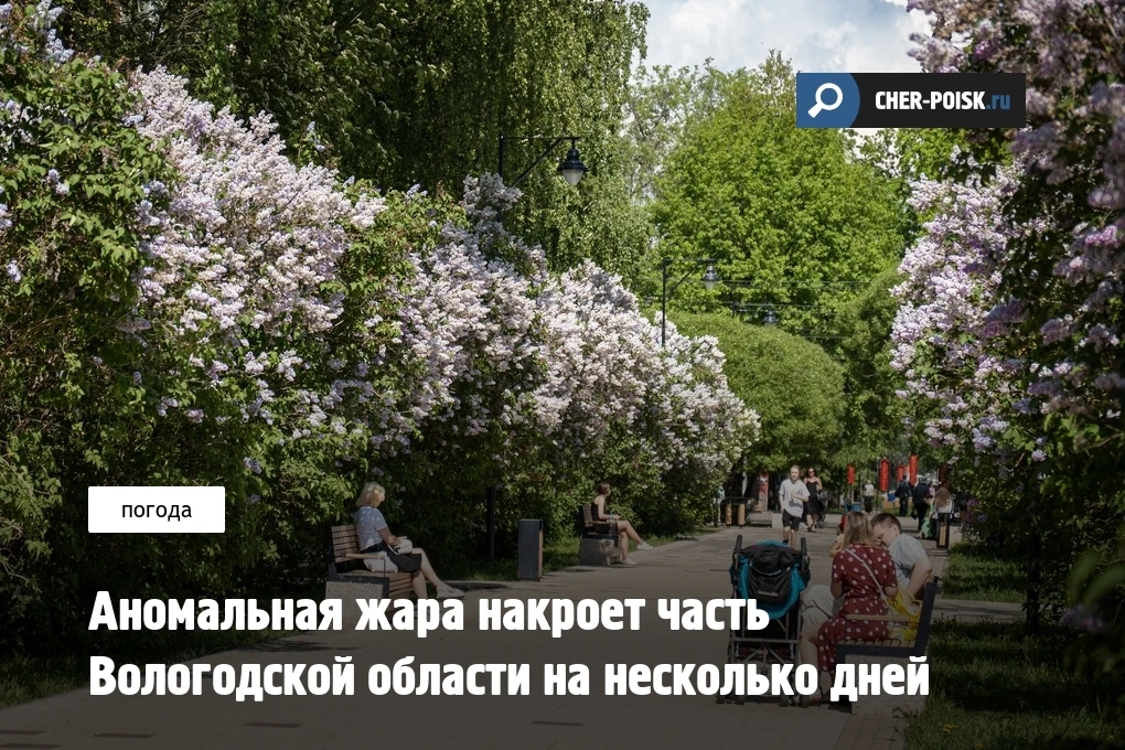 Аномально теплая погода установится в части Вологодской области уже в ближайшие дни. По данным синоп