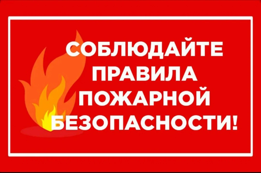 ✨️Впереди всех школьников и их родителей ждут долгие летние каникулы, а значит, самое в...