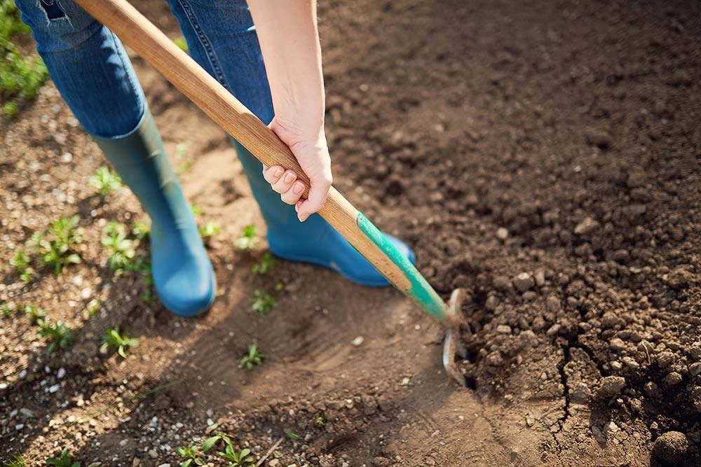 👨‍🌾 Стоит ли перекапывать огород!