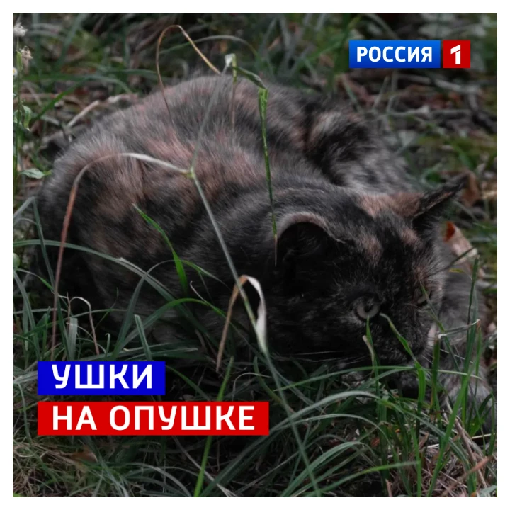 🗓️ 7 октября, среда