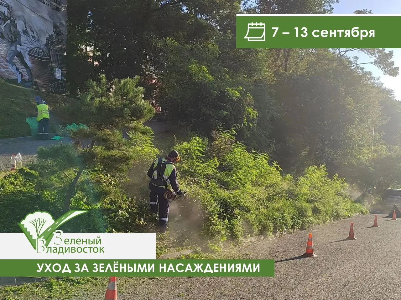 ✅Где на этой неделе будут ухаживать за газонами во Владивостоке?