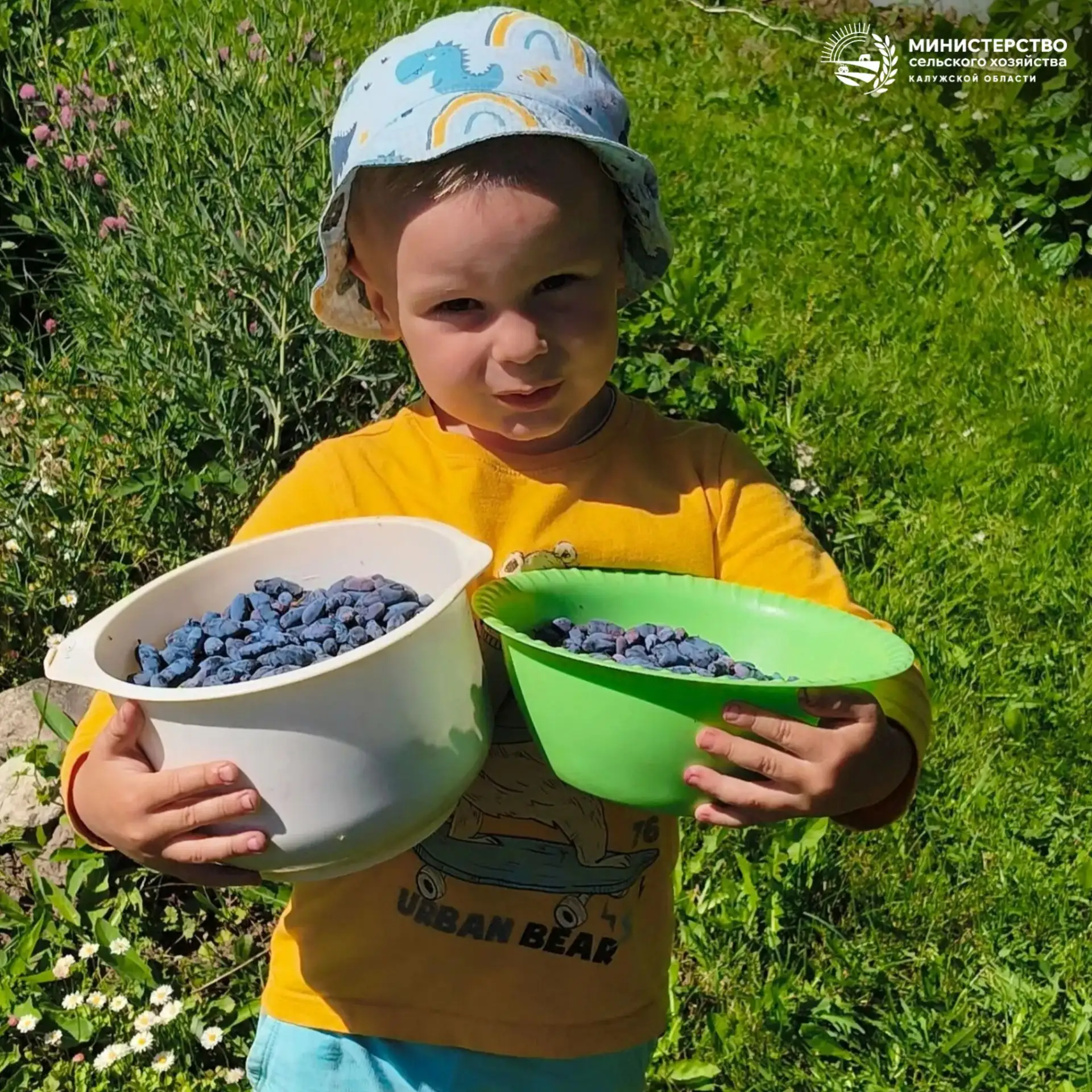 👧🍓🧒Наши юные аграрии-подписчики уже собирают первый урожай!
А как прошли ваши выходные? Порадовал