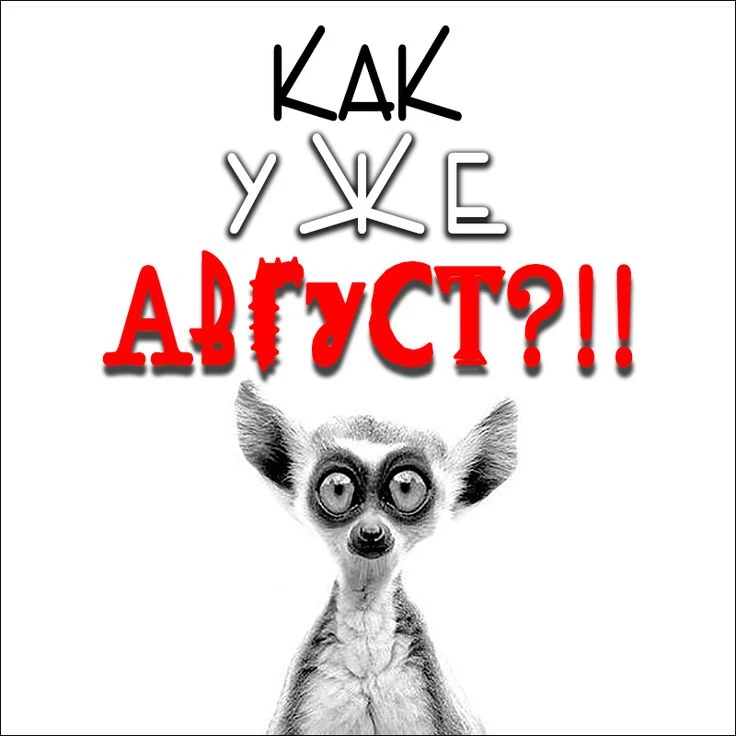Куда делись два месяца лета? 

И что? Опять сборы в школу? 
Только глаз перестал дёргаться! ,
😄