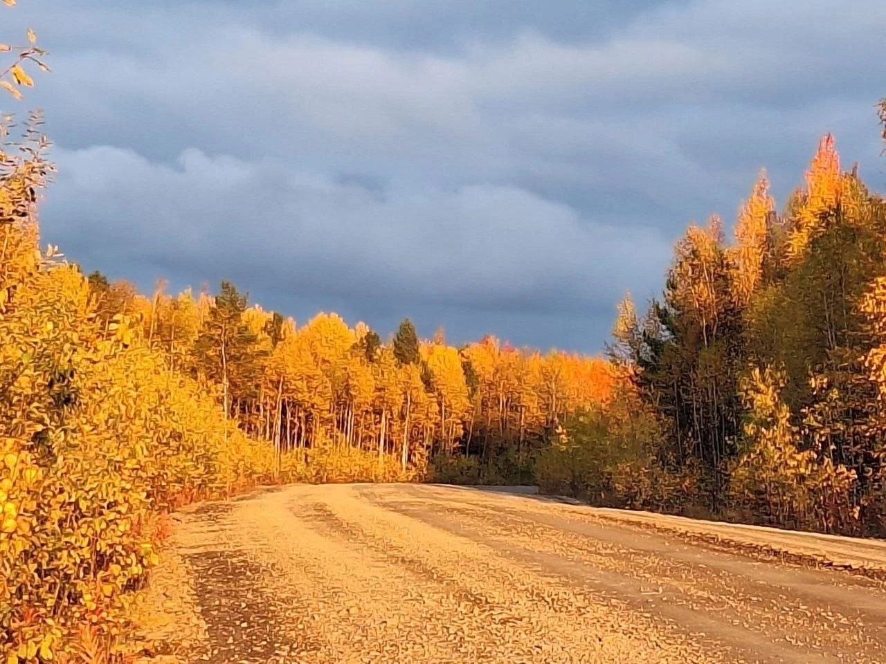 Доброе утро, любимый округ🍁