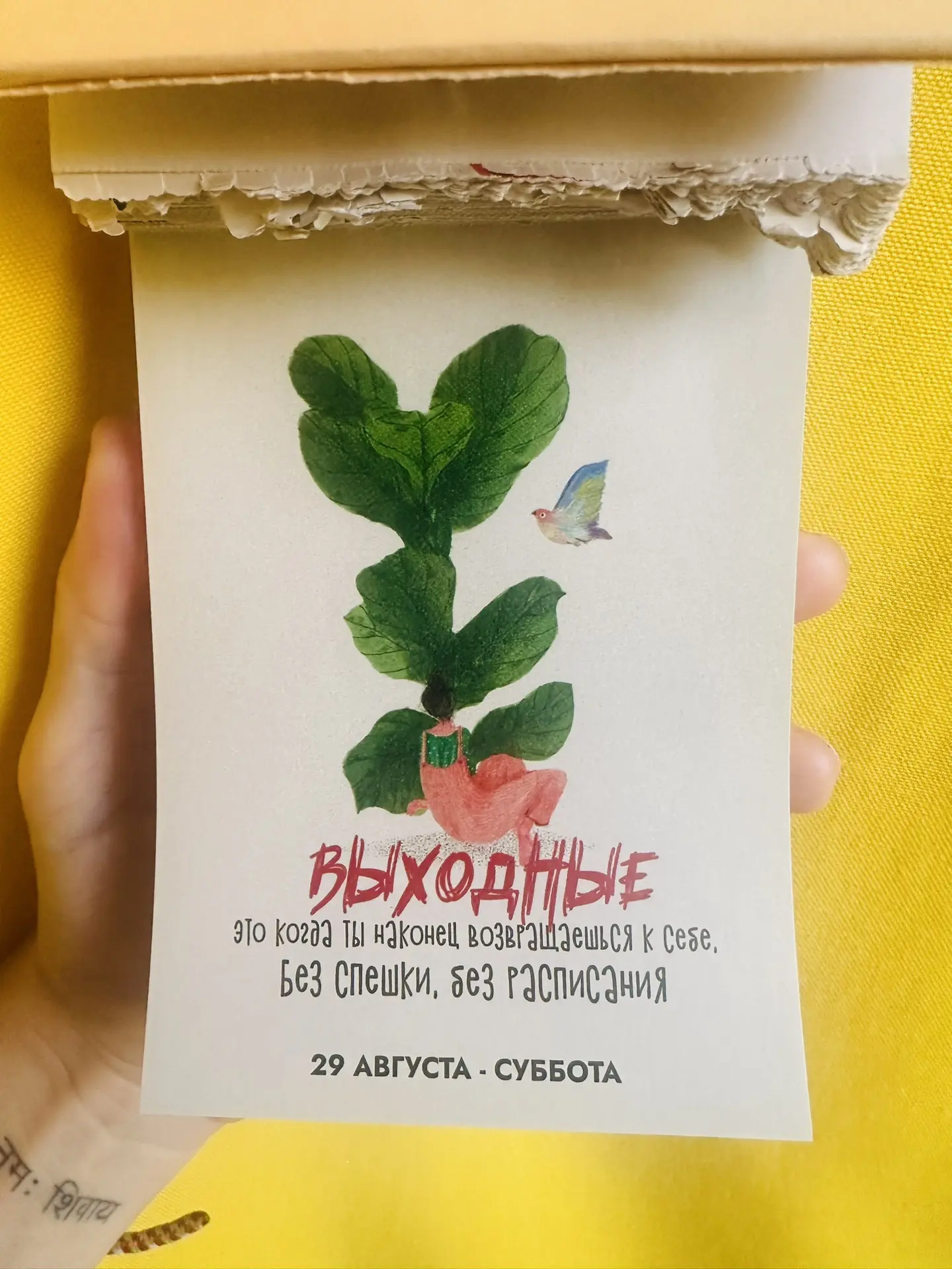 Доброе утро! ☀️