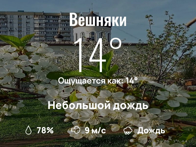 Что с погодой в Вешняках?