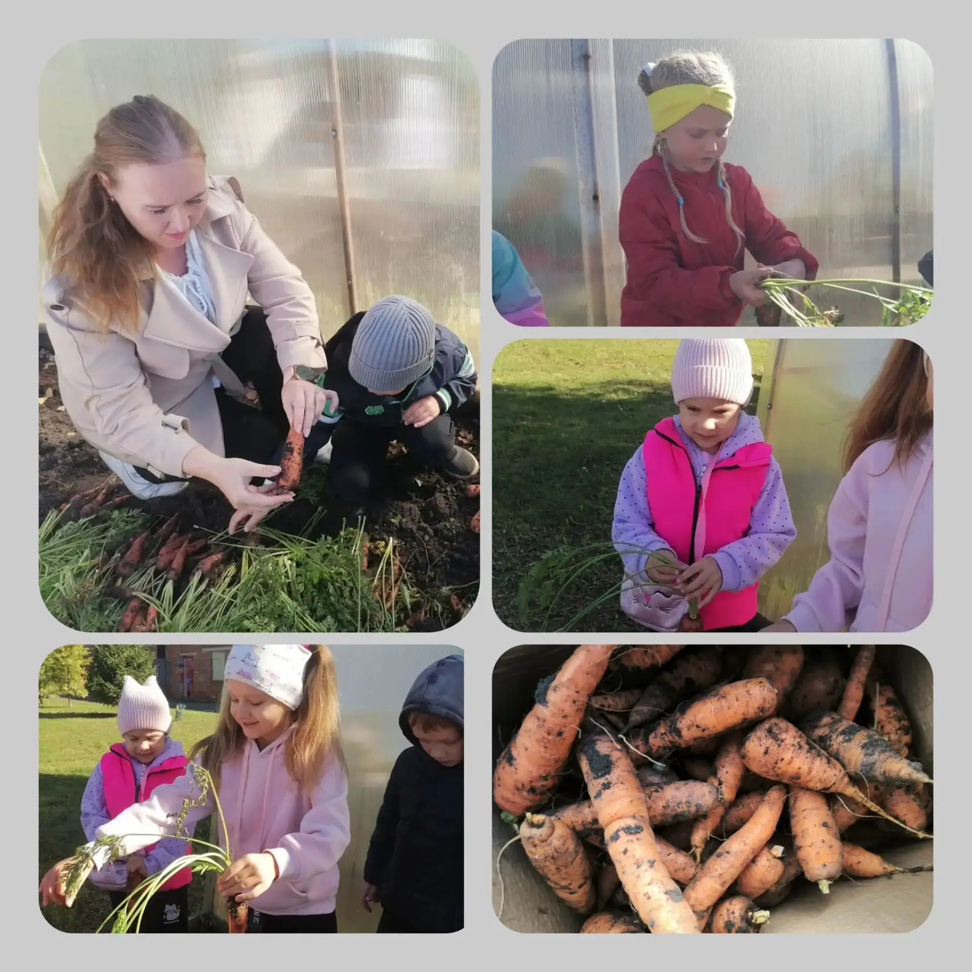 Биоквантум 🌱🌱🌱