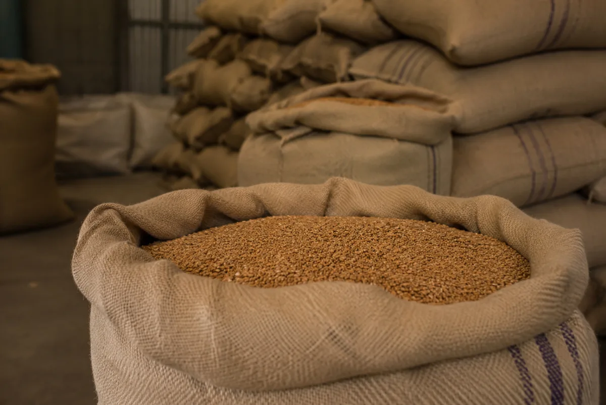 Товарооборот сельхозпродукции России и Алжира вырос более чем на 40% в 2026 году