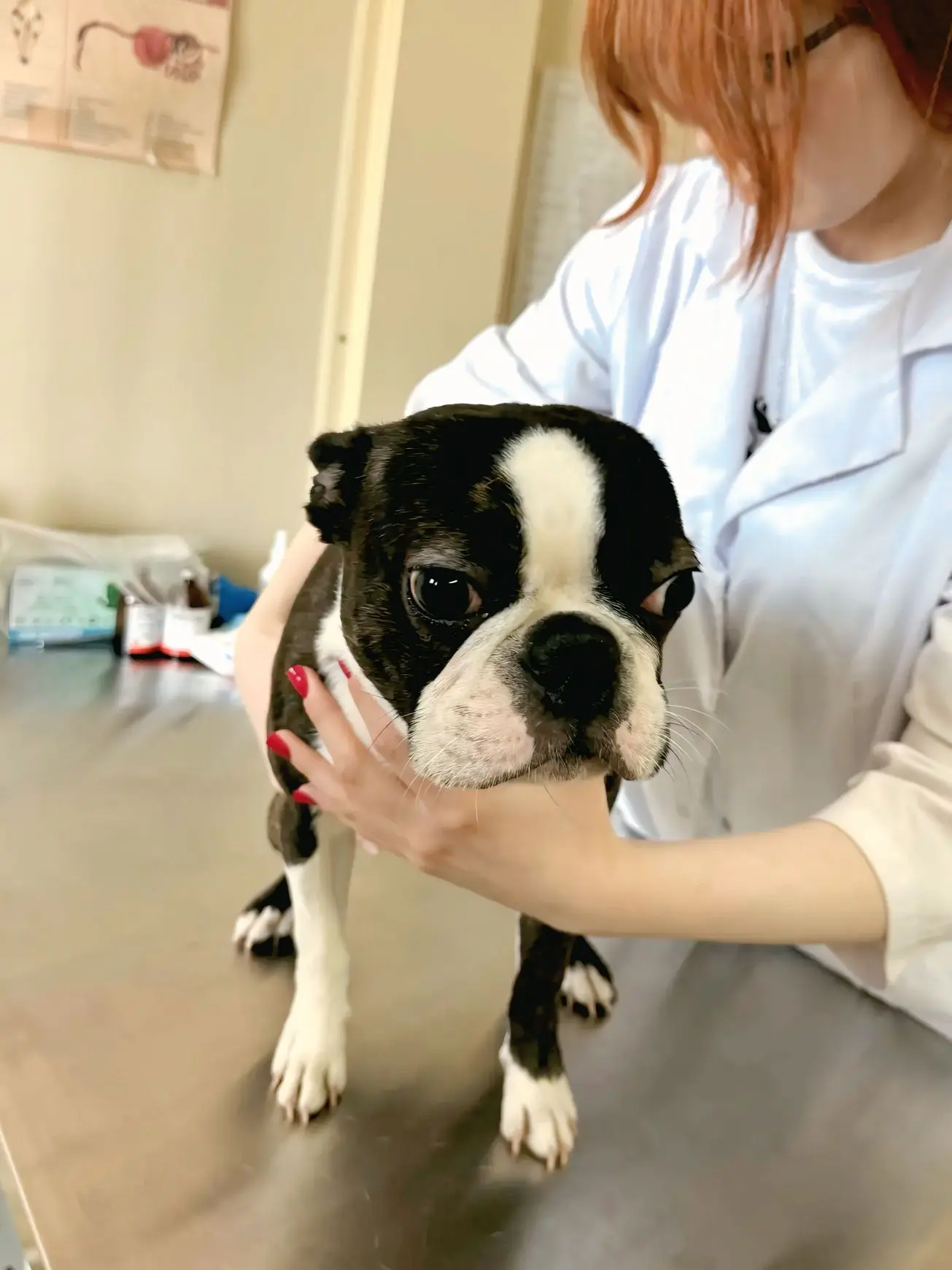 🐾 Знакомьтесь — Яхонт, очаровательный гость Елабужского РГВО!