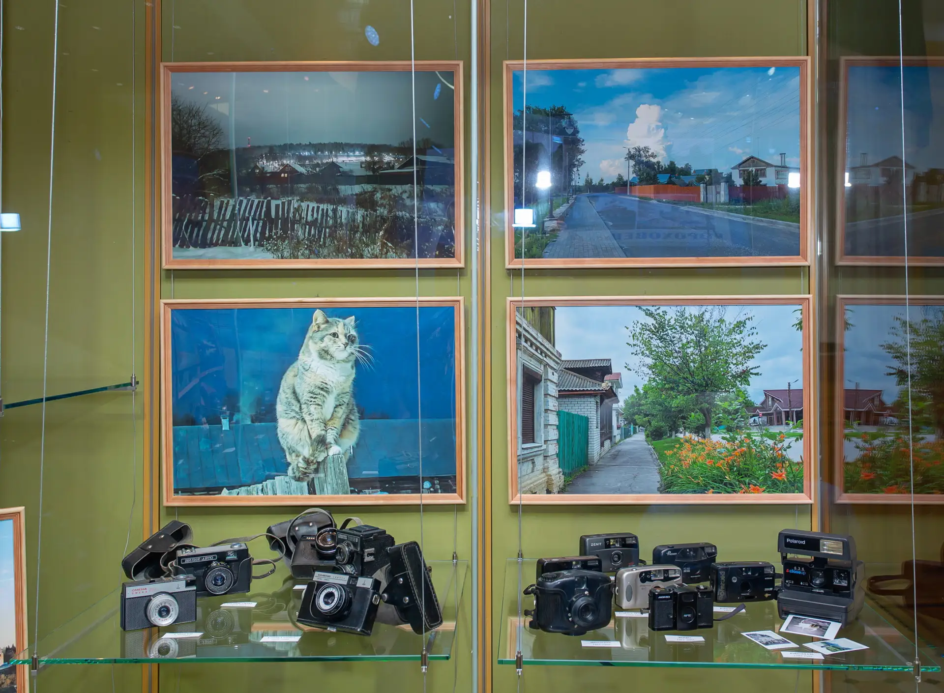 «ГОРОХОВЕЦкая ФОТОистория»: 10 лет проекту «Домики и Дворики моего города»