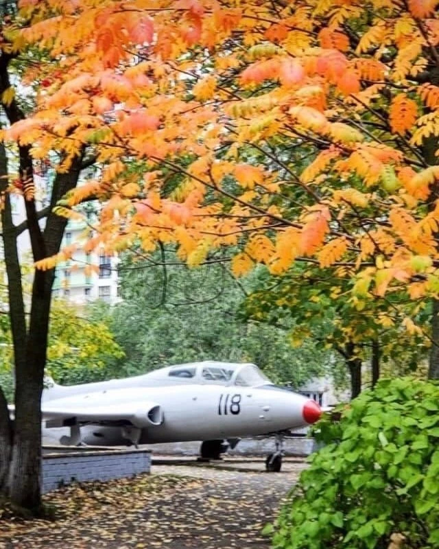 Во дворе лицея №14.