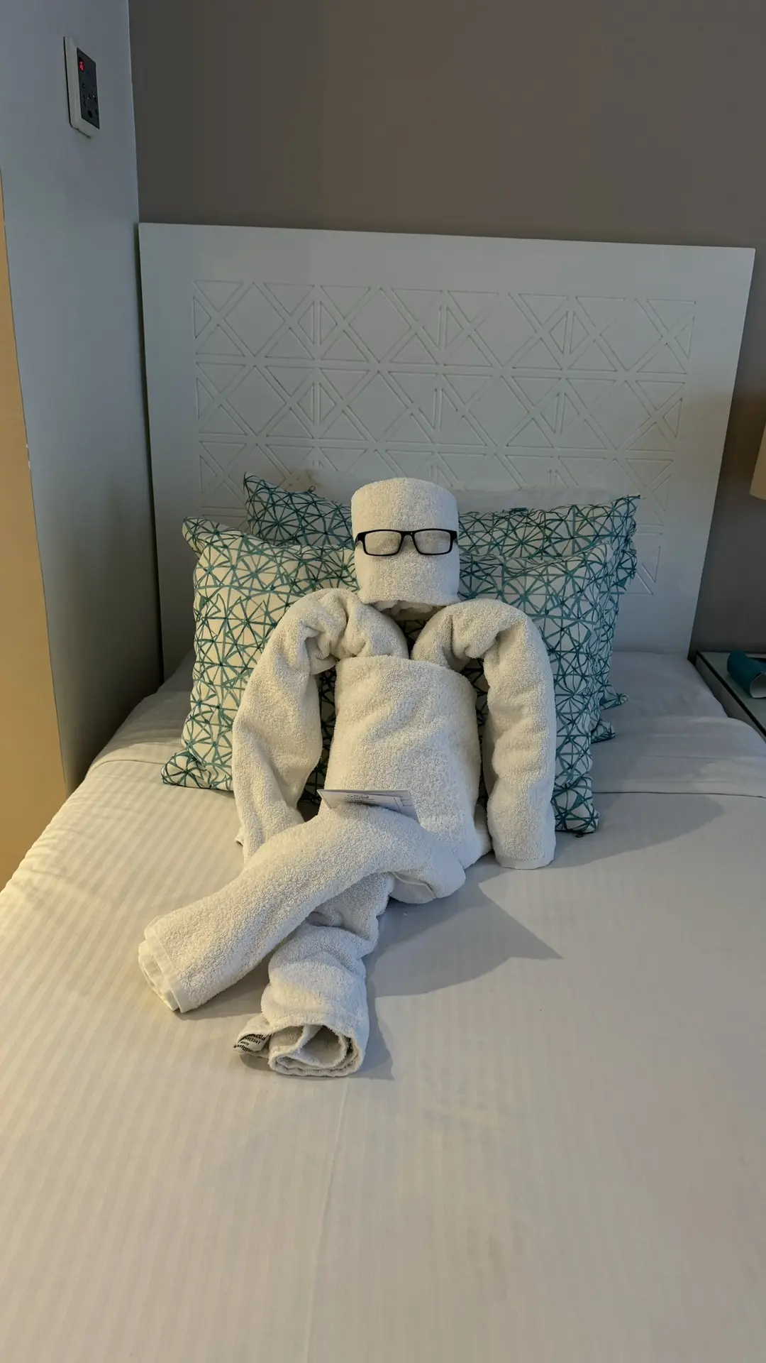 Видео
