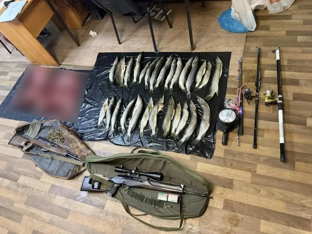В Туве задержали шестерых мужчин с разделанной тушей косули и незаконным уловом