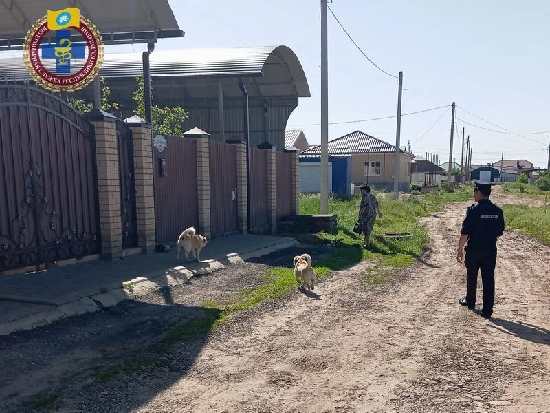 В ходе мониторинга социальных сетей было выявлено, что в Южном районе Элисты владельцем...