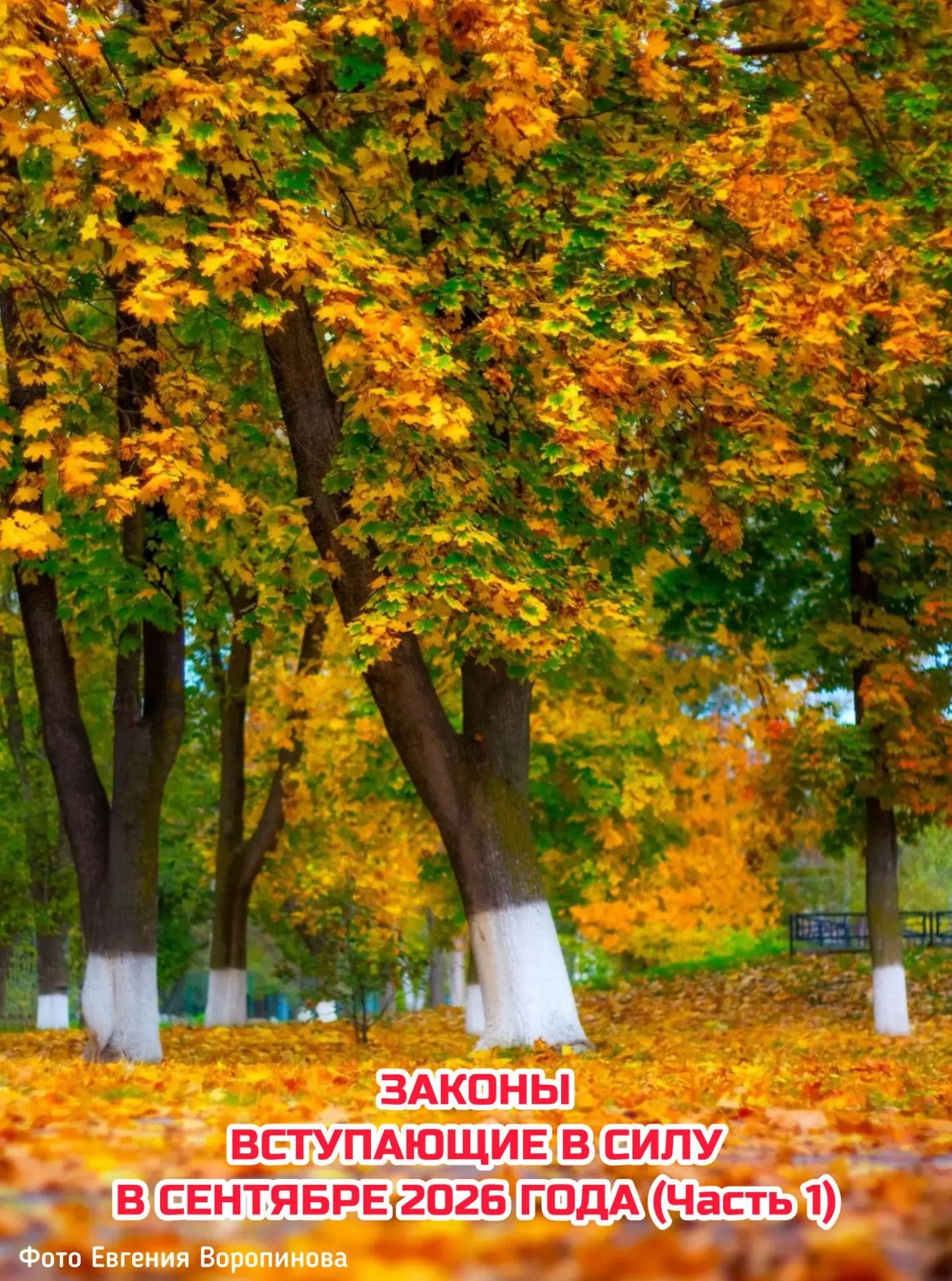 ⚡️ Законы, вступающие в силу в сентябре (Часть 1)