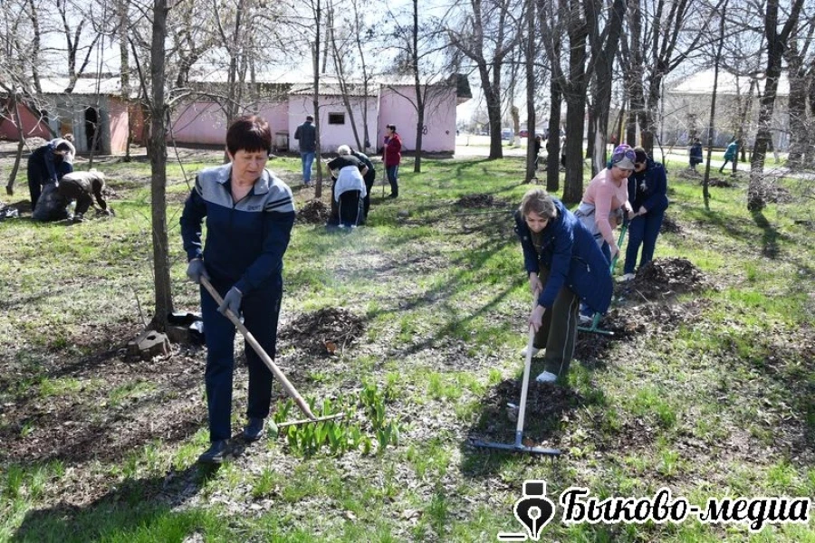 В рамках месячника благоустройства в р.п. Быково прошел массовый субботник.