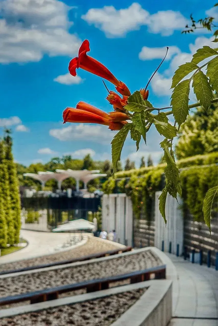 Неповторимый парк Галицкого😍