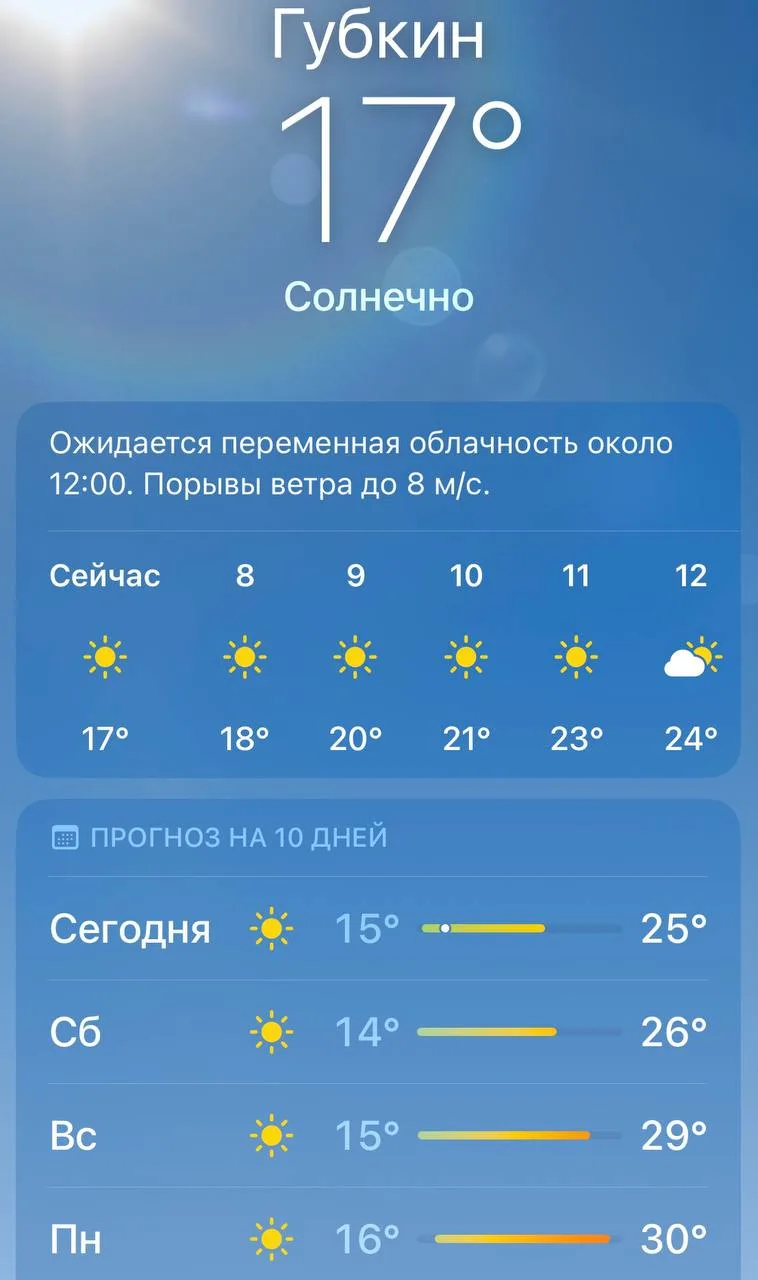 Такая погода уже похожа на летнюю! 
Доброе утро, Губкин ☀️