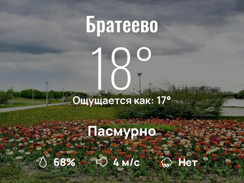 Что с погодой в Братеево?

Одевайтесь по погоде, берегите себя!
Шикарного дня, соседи!

#погоданарай