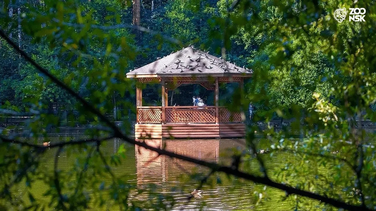 Живая музыка, волшебная атмосфера и отражение заката в воде — идеальный рецепт хорошего...