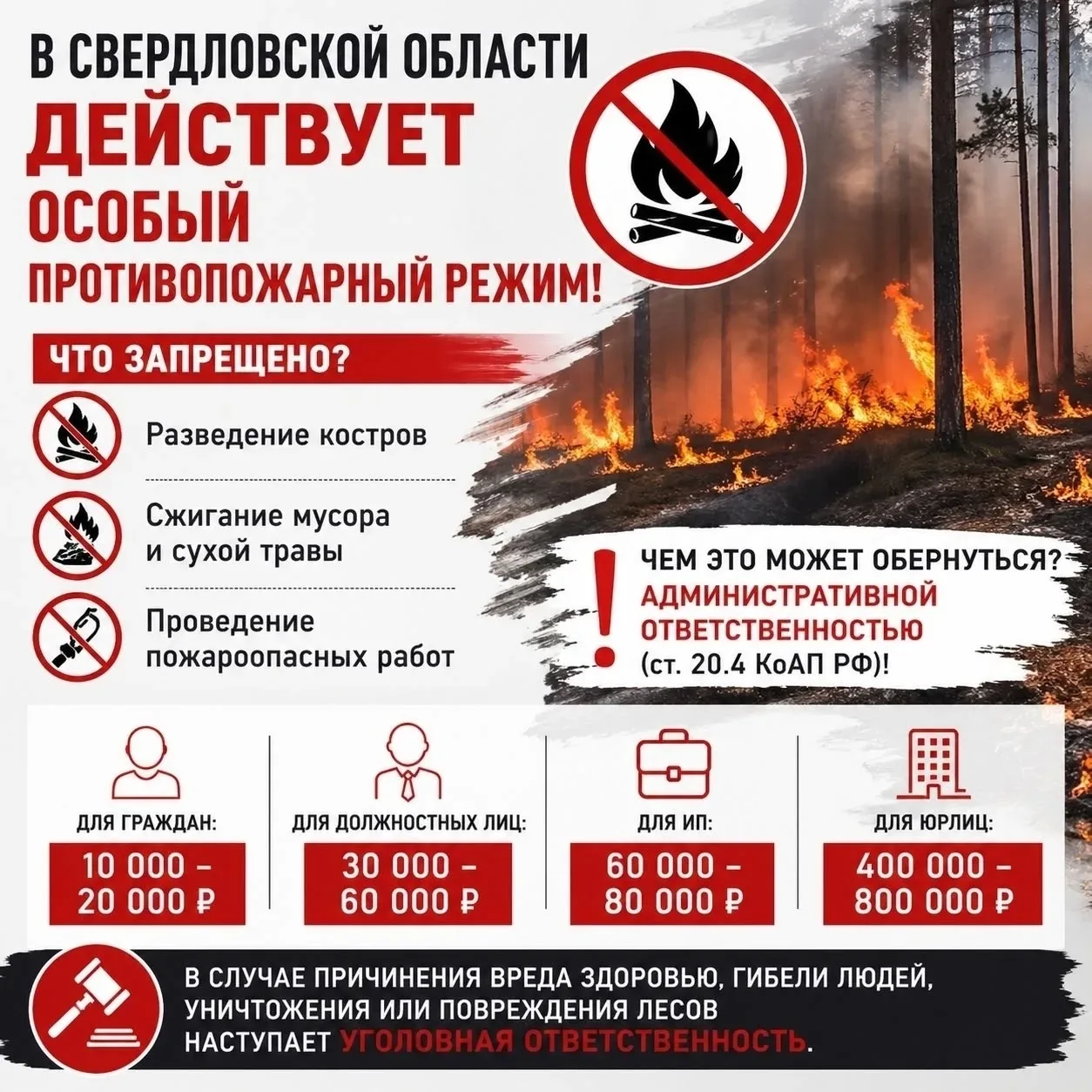 Напоминаем, что с 25 апреля 2026 года на всей территории Свердловской области действует особый проти