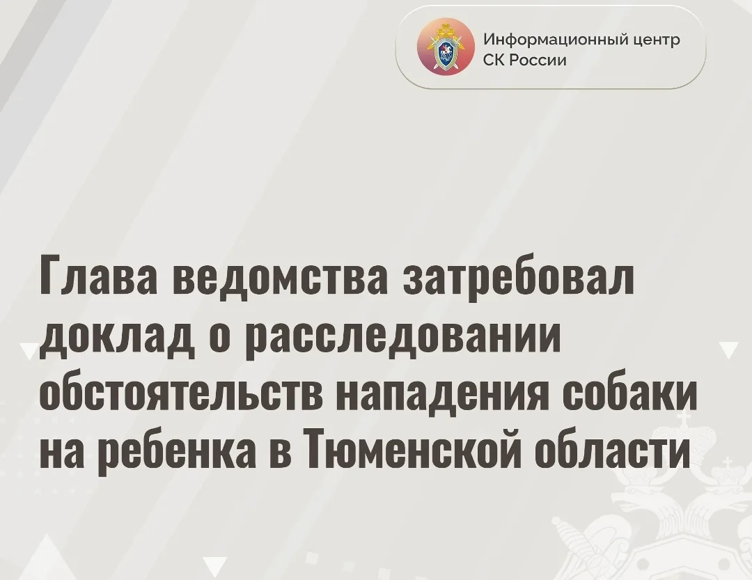 Как мы предполагали, по факту причинения тяжкого вреда здоровью ребенку возбуждено уголовное дело, к