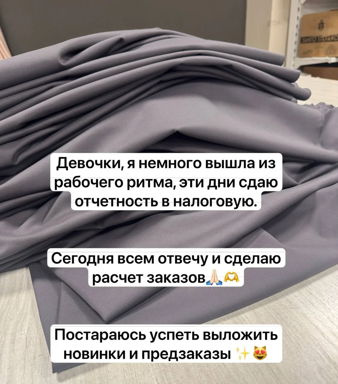 На фото Джерси в сером цвете😻