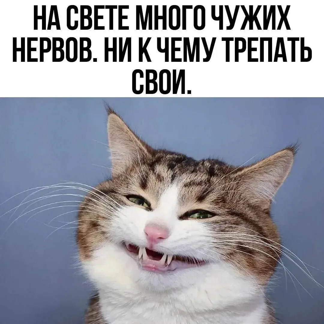 Юмор в открытках