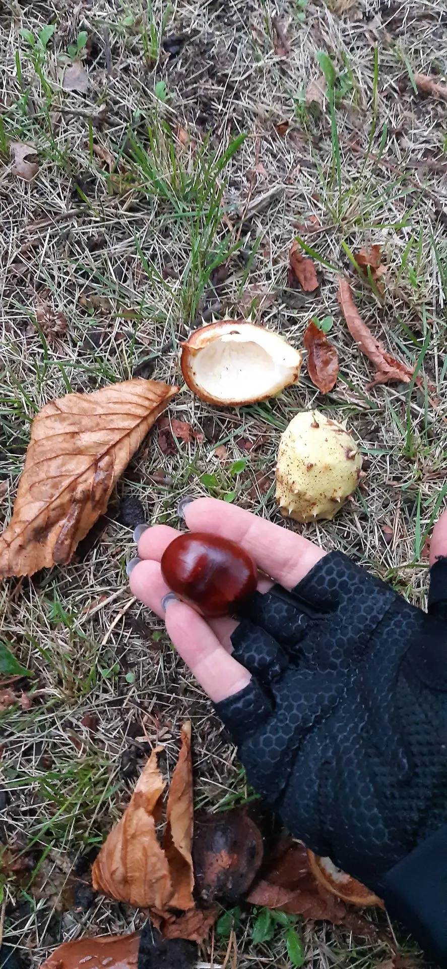 Привет, мои дорогие!