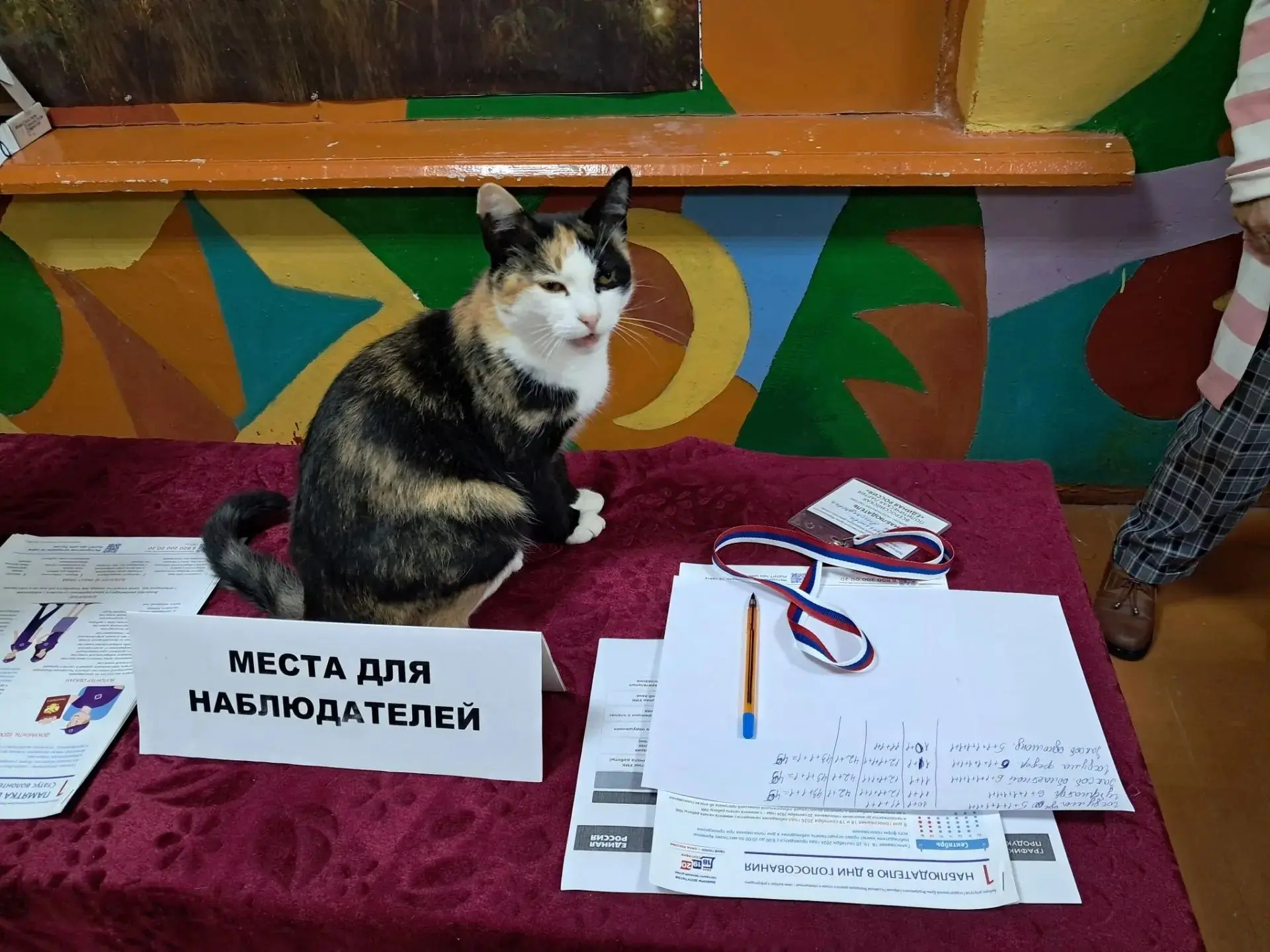 Ну и что, что у вас тут видеонаблюдение… Ну и что, что больше трех тысяч наблюдателей… ...