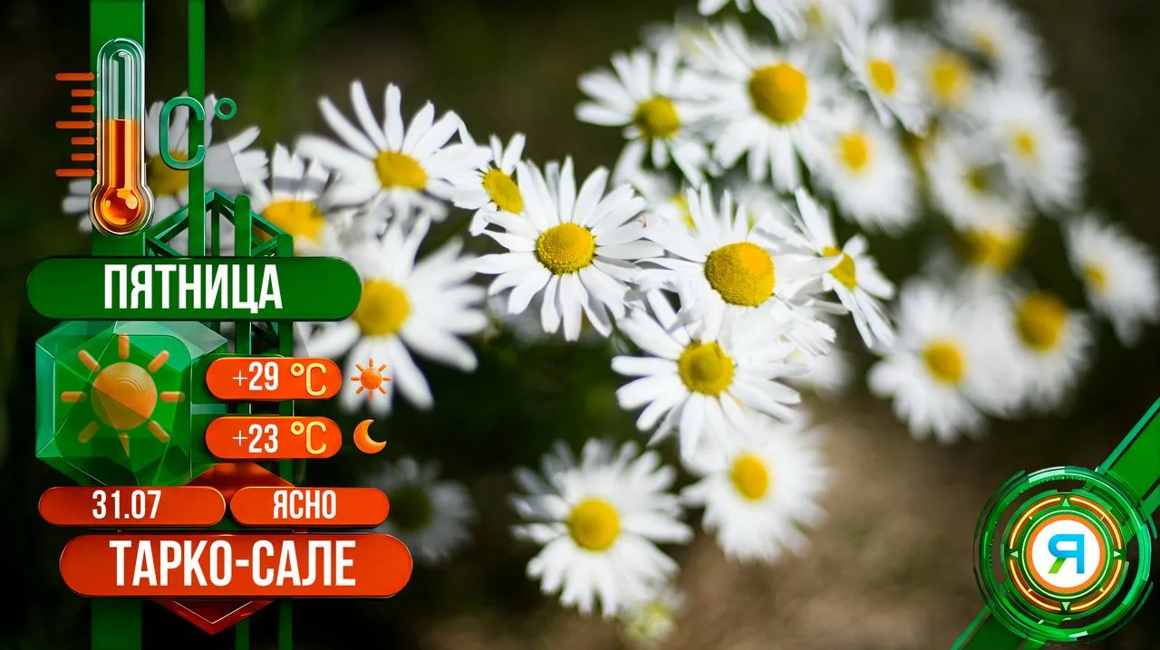 ☀Прогноз погоды

✔Сегодня в Тарко-Сале ясно, без осадков. Температура воздуха днем +29 градусов. Вет