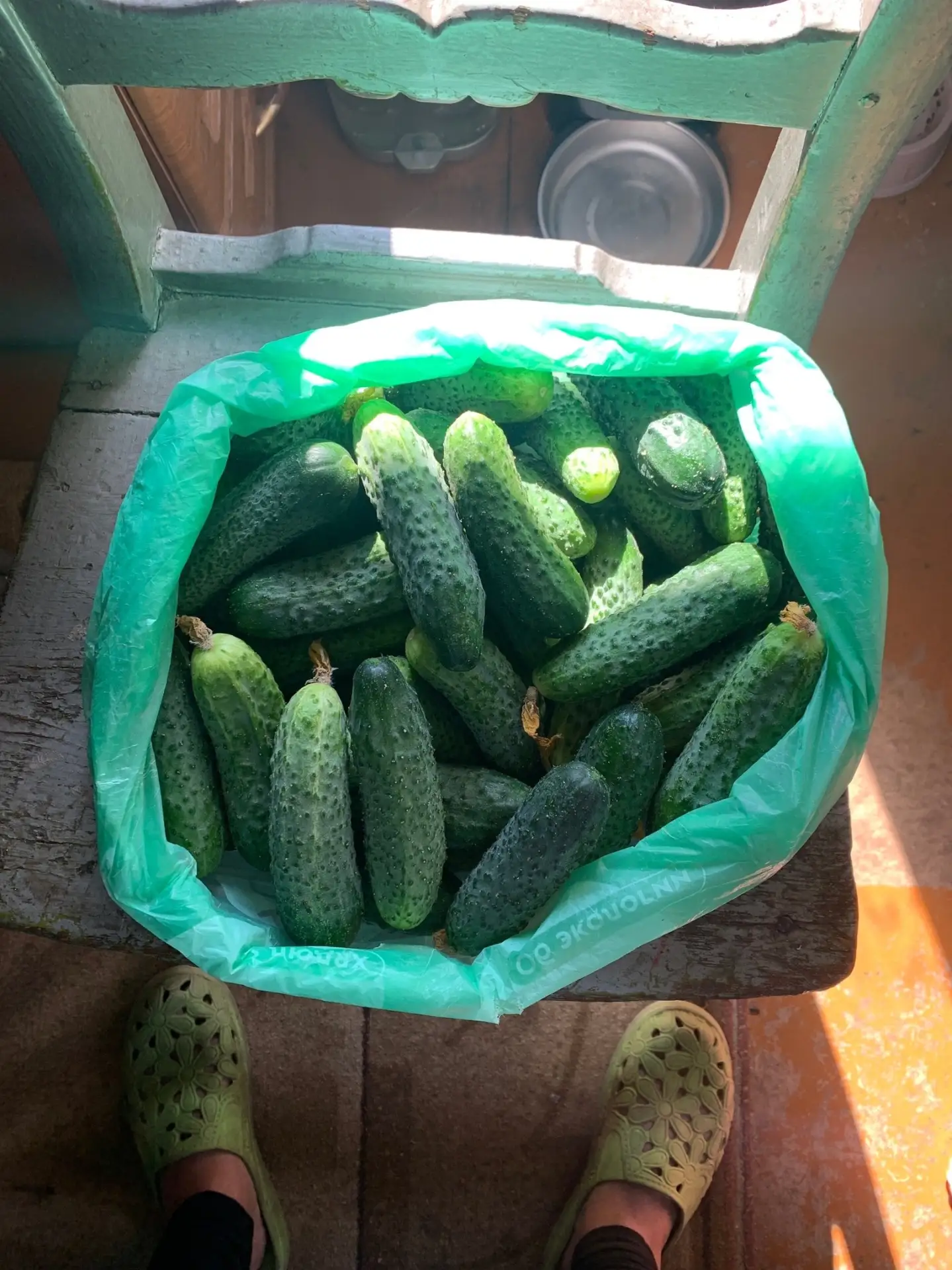 Продам в наличии 3 кг цена 200₽ за кг